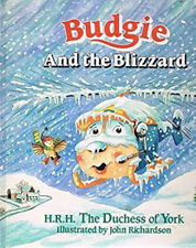 Budgie blizzard hardcover for sale  DUNFERMLINE