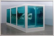 Damien hirst physical for sale  Minneapolis