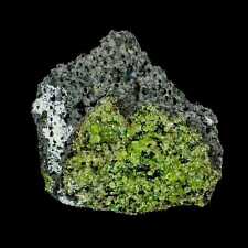 Minerales de cristal de peridoto esmeralda natural XL 3,6" en roca volcánica Gila, Arizona segunda mano  Embacar hacia Argentina