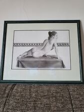 Beautiful framed picture. for sale  UTTOXETER