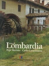 Terre lombardia pepi usato  Parma