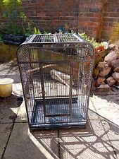 Grey used parrot for sale  YATELEY