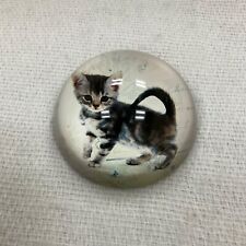 Cat kitten glass for sale  Fairfield