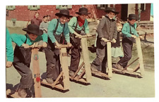 Amish boys racing for sale  Saint Petersburg