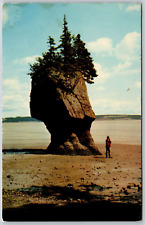 Cartão postal Hopewell New Brunswick Canadá The Rocks Big Flower Pot Bay Fundy Tides comprar usado  Enviando para Brazil