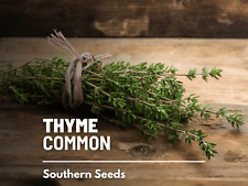 Thyme seeds medicinal for sale  Frisco