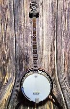 Epiphone 200 banjo for sale  Boone