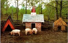 Three little pigs for sale  Spring