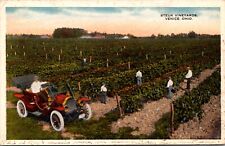 Postcard steuk vineyards for sale  La Mesa