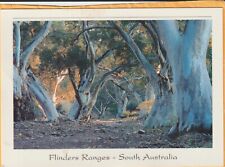 CREEK BED FLINDERS RANGES SOUTH AUSTRALIA OZSCAPES POSTCARD for sale  Shipping to South Africa