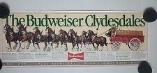 Budweiser clydesdales horse for sale  Saint Paul