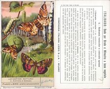 50s LIEBIG FIGURE*LEPIDOPTERI NOCTURNI-ENDROMIS AND CATOCALA* #9 for sale  Shipping to South Africa