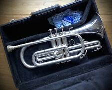 Cornet blessing scholastic for sale  EXMOUTH