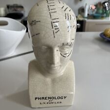 Phrenology head 30cm for sale  SEVENOAKS