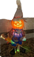 fiber optic scarecrow head for sale  Peshtigo