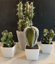 artificial cactus for sale  Wilmington