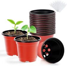 Nursery pots plants for sale  New York