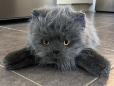 Gatito peludo gris humeante 1999 gato persa realista 18" TY segunda mano  Embacar hacia Argentina