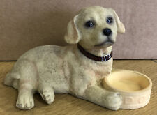 Golden labrador puppy for sale  WOLVERHAMPTON