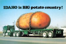 Postcard potatoes semi for sale  Southington