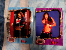 Usado, 2002 (2) LITA Fleer WWE Absolute Divas MINI PÔSTERES WWF HOT LOOK RARO comprar usado  Enviando para Brazil