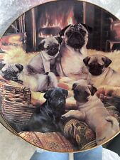 Danbury mint pug for sale  Westerly