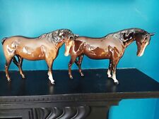 pair horses for sale  TUNBRIDGE WELLS