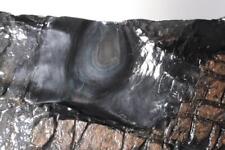 Rainbow obsidian lapidary for sale  Polson