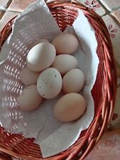 Uova feconde miste usato  Fivizzano