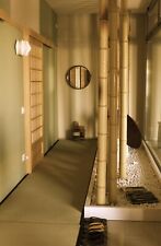 Canne di Bamboo Gigante -300cm - Bambù - canna arredamento- GiardinoZen - Buddha usato  Villanova Marchesana
