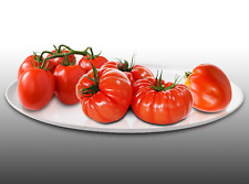 Trio tomates classiques d'occasion  Istres