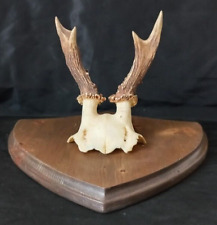 Deer trophy wooden d'occasion  Expédié en Belgium