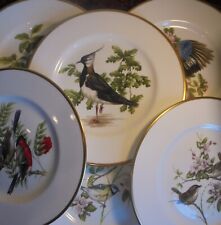 Coalport british birds for sale  SALISBURY