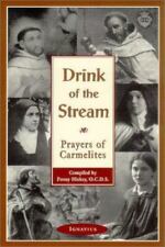 Bebida do fluxo: Orações De Carmelita By Hickey, Penny comprar usado  Enviando para Brazil
