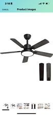 Ceiling fans lights for sale  Clarksville