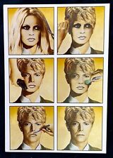 DAVID BOWIE morph BRIGITTE BARDOT 1990 JOOST VEERKAMP Arte segunda mano  Embacar hacia Mexico