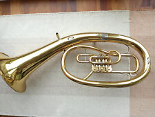 tenorhorn gebraucht kaufen  Homburg