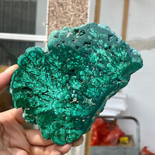 1,3 LB Malaquita Natural Rebanada Cuarzo Cristal Brillo Espécimen Mineral segunda mano  Embacar hacia Mexico