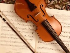 violino 1 2 usato  Piacenza