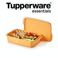 Tupperware essentials lunchbox gebraucht kaufen  Uentrop