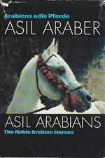 Asil araber arabiens gebraucht kaufen  Sibbesse