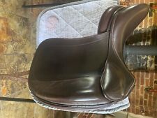 Childeric brown dressage for sale  NORWICH