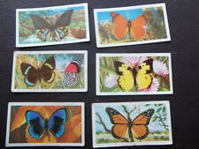 Butterflies cards 31 for sale  TORQUAY