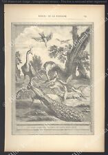 Gravure fables fontaine d'occasion  Douarnenez