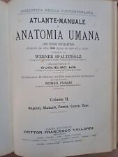 Atlante manuale anatomia usato  Piacenza