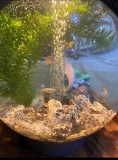 15l baby biorb for sale  BURNLEY