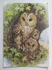 Tawny owl young for sale  DOVER