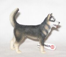 Schleich husky male d'occasion  Expédié en Belgium