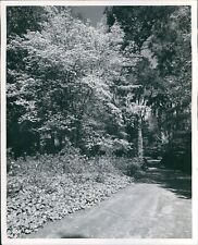 1963 park florida for sale  Germantown
