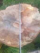 Large beech tree for sale  Shipping to Ireland